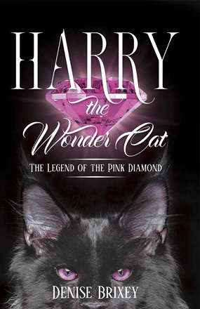 Harry-the-Wonder-Cat-New-Book-Cover Harry the Wonder Cat New Book Cover