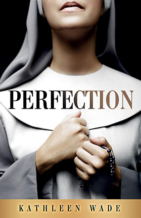 Perfection New Book Cover