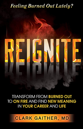 Reignite New Book Cover