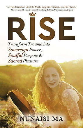 Rise New Book Cover